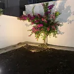 Panzió Mercadante 3*