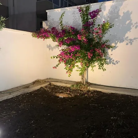 Bed & Breakfast Mercadante 3*