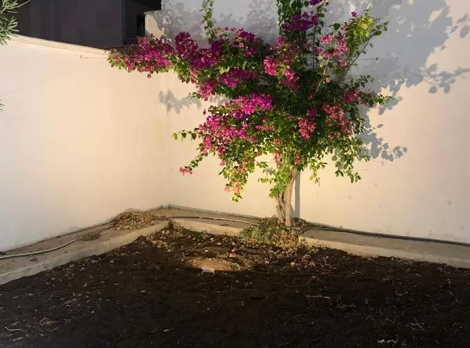 Panzió Mercadante 3*